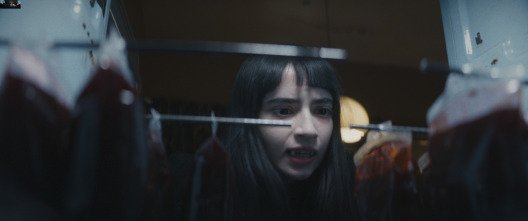 Imagen de Vampira humanista busca suicida - 4