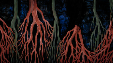 Imagen de Malas hierbas - 11