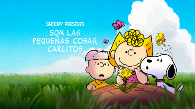 Imagen de Snoopy presenta: Son las pequeñas cosas, Carlitos - 2