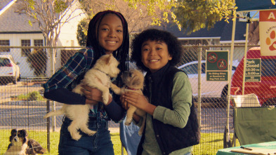 Imagen de Cachorritos:... (T2): Peque y Chico - 2