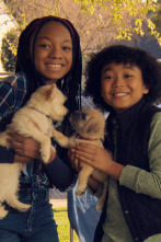 Imagen de Cachorritos:... (T2): Peque y Chico - 1