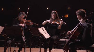 Imagen de Beethoven - Complete String Quartets IV - 2