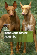 Imagen de Podenqueros de Almería - 1