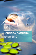 Imagen de Jornada carpera en Aveiro - 1