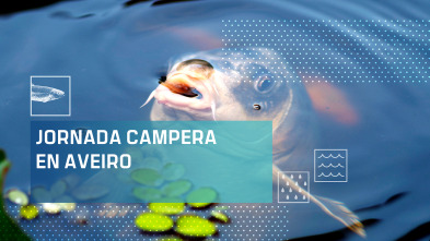 Imagen de Jornada carpera en Aveiro - 2