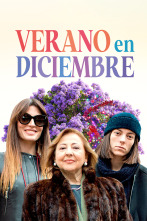 Imagen de Verano en diciembre - 1
