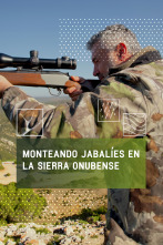 Imagen de Monteando los jabalíes en la sierra onubense - 1