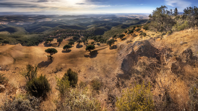 Imagen de Monteando los jabalíes en la sierra onubense - 3