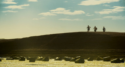 Imagen de La extinción - 4