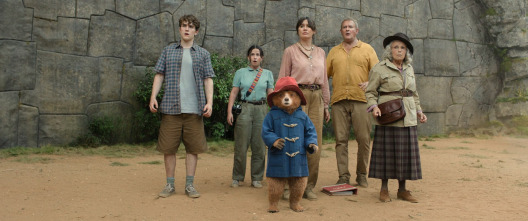Imagen de Paddington: Aventura en la selva - 8