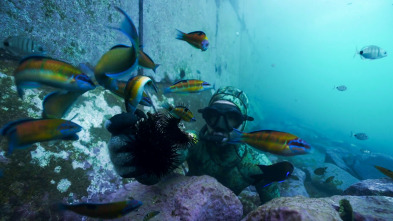 Imagen de Apnea con David... (T1): Portugal, Azores y Cabo Verde - 2