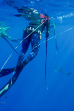 Imagen de Apnea con David... (T1): A bordo del Pacifico - 1