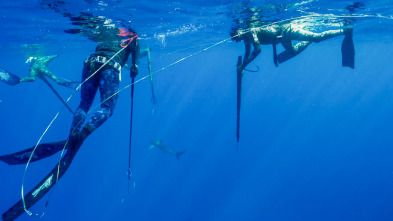 Imagen de Apnea con David... (T1): A bordo del Pacifico - 2