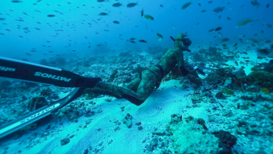Imagen de Apnea con David Ochoa (T1): Latham - 2