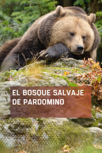 Imagen de El bosque salvaje de Pardomino  - 1