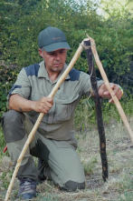 Imagen de Campamento base (T3): Robert Mata - 1