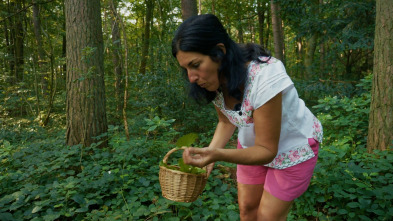 Imagen de Campamento base (T3): Kiki Nardiz - 2