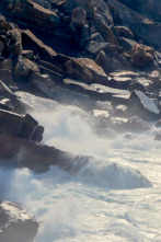 Imagen de Río Salvaje con... (T6): Pesqueras de Xábia - 1