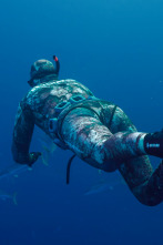 Imagen de Pesca submarina en los...: Ep.1 - 1