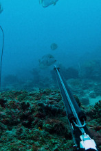 Imagen de Pesca submarina en los...: Ep.4 - 1