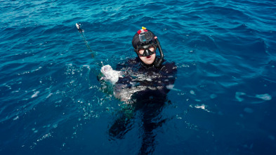 Imagen de Pesca submarina en los...: Ep.6 - 2