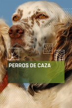 Imagen de Perros de caza (T1) - 1