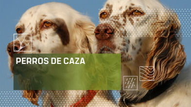 Imagen de Perros de caza (T1) - 2