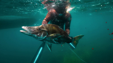 Imagen de Pesca submarina en los...: Far Flung Fiji - 2