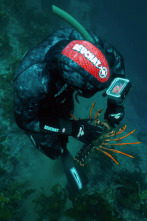 Imagen de Pesca submarina en los...: Ep.5 - 1
