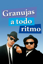 Imagen de Granujas a todo ritmo - 1