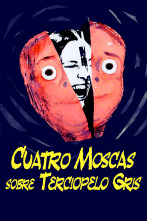 Imagen de Cuatro moscas sobre terciopelo gris - 1