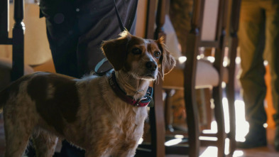 Imagen de De montería (T9): Ep.6 - 2