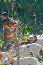 Imagen de De montería (T9): Ep.9 - 1