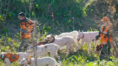 Imagen de De montería (T9): Ep.9 - 2