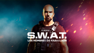 Imagen de S.W.A.T.: Los hombres de Harrelson (T3) - 2