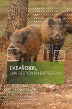 Imagen de Cabañeros, una gestión en entredicho - 1