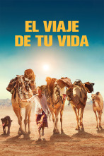 Imagen de El viaje de tu vida - 1