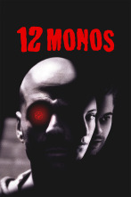 Imagen de 12 monos - 1