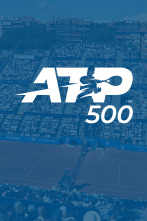 Imagen de ATP 500 - 1