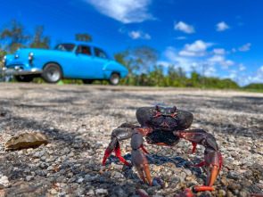 Imagen de The Americas: El Caribe - 4