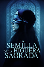 Imagen de La semilla de la higuera sagrada - 1