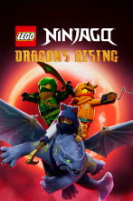 Imagen de LEGO NInjago: El renacer de los dragones (T2) - 1