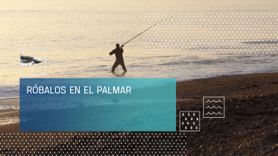 Imagen de Róbalos en El Palmar - 2