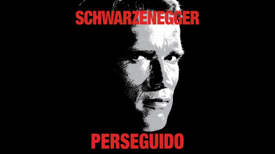 Imagen de Perseguido - 2