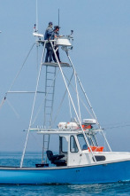 Imagen de Pesca con arpón: Pez para terminar - 1