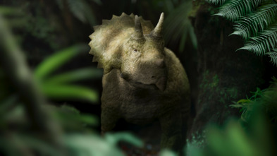 Imagen de Extras de Caminando entre dinosaurios  - 3