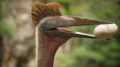 Imagen de Extras de Caminando entre dinosaurios  - 5
