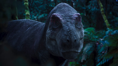 Imagen de Extras de Caminando entre dinosaurios  - 9