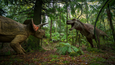Imagen de Extras de Caminando entre dinosaurios  - 11