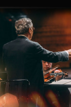 Imagen de Nielsen: Sinfonía n°. 6 - Danish National Symphony Orchestra Fabio Luisi - 1